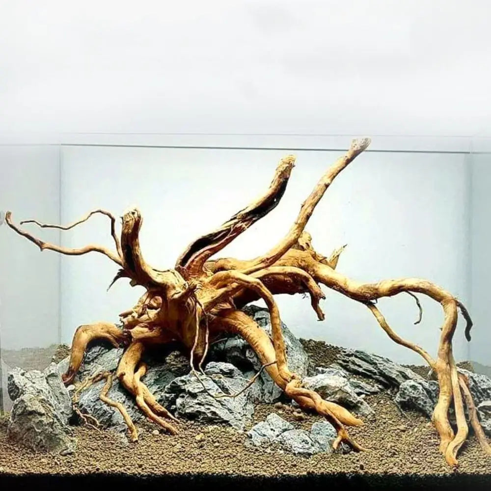 Natural Aquarium Driftwood Tree Stump Decor for Fish Tanks and Reptile Habitats