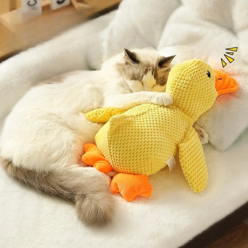 A white and gray cat is resting next to a yellow plush duck dog chew toy on a white surface.