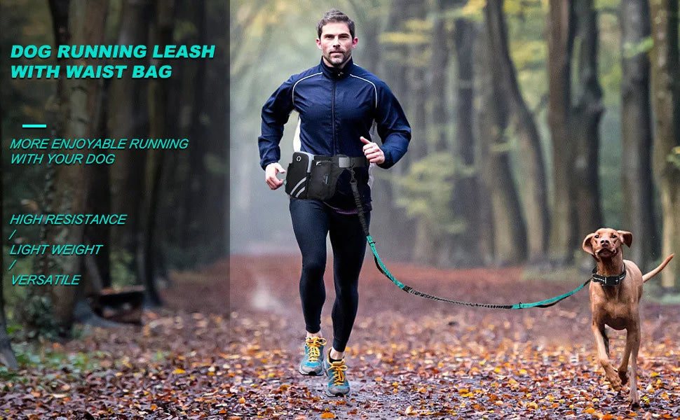 Hands-Free Reflective Dog Walking Belt with Storage Pouch