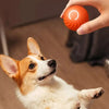 Automatisches interaktives Hundeball-Spielzeug