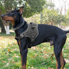 A black dog wearing a heavy-duty tactical harness outdoors in a grassy area.