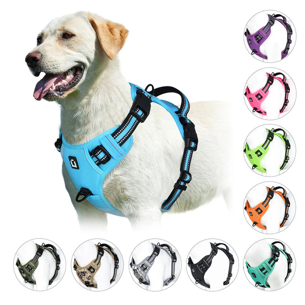 A white dog wearing a blue padded pet vest harness, surrounded by various colored pet harnesses.