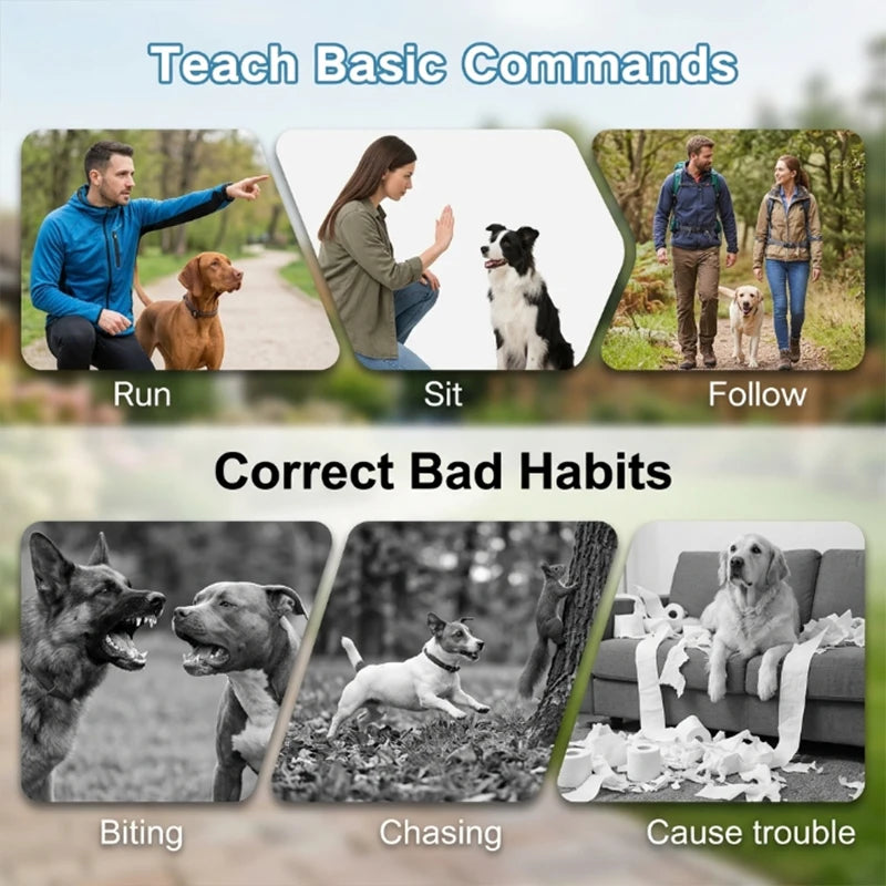 Remote Dog Training Collar with Voice and Vibration Modes