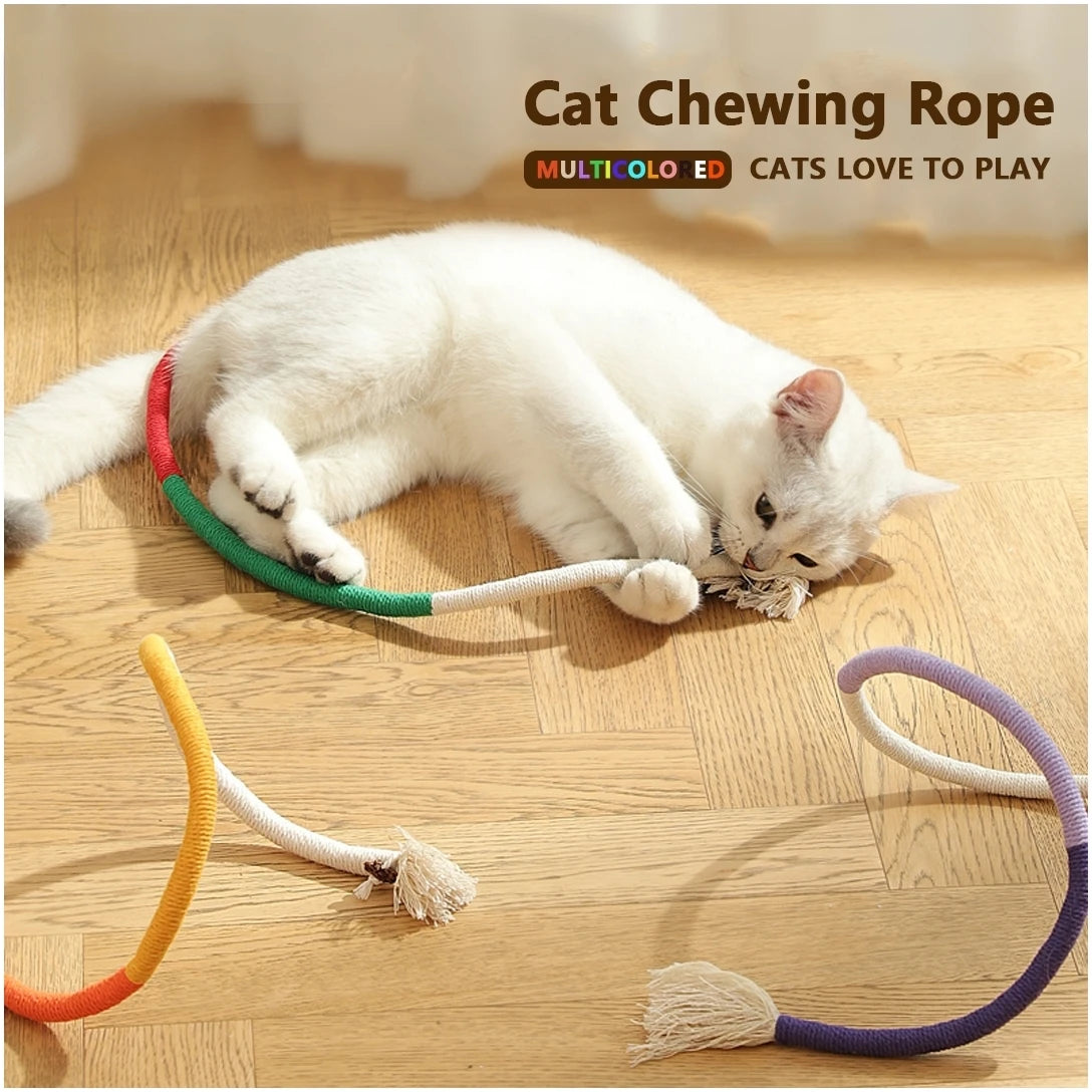 A white cat is playing with various colored cat chewing ropes on a wooden floor.