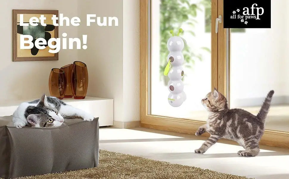 Un chat tigré joue avec un jouet interactif à vermis intelligent dans une pièce lumineuse.