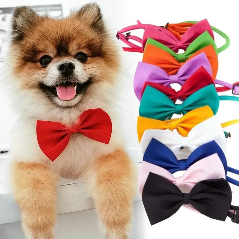 Pet Bow Tie Collar with Adjustable Strap