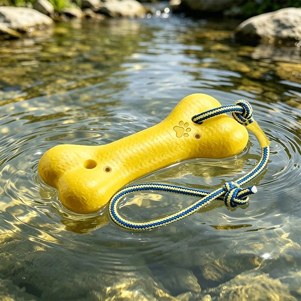 A yellow floating dog fetch toy with a paw print is visible in clear water.