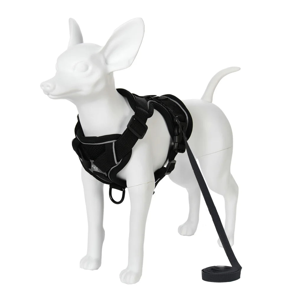 A white dog harness and leash set for a small to medium pet is shown against a white background.