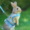 Adjustable Mesh Harness with Leash for Small Pets