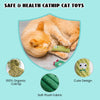 Organic Catnip-Filled Cactus Cat Toys (Set of 5)