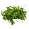 Lifelike Artificial Climbing Vine for Miniature Landscapes