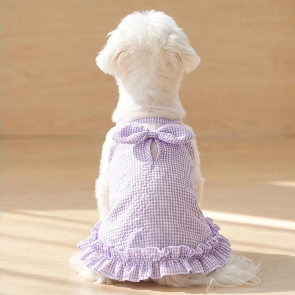 A white dog wearing a lavender ruffled stripe tank top with a checkered pattern.