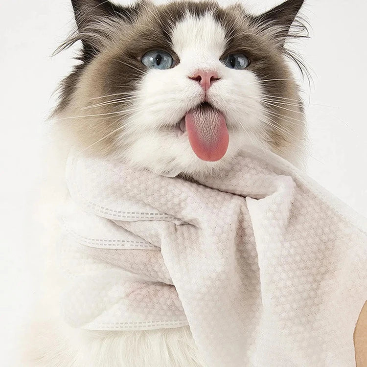 A fluffy cat with blue eyes and white fur is sticking out its tongue while wearing a light-colored pet cleaning wipe glove.