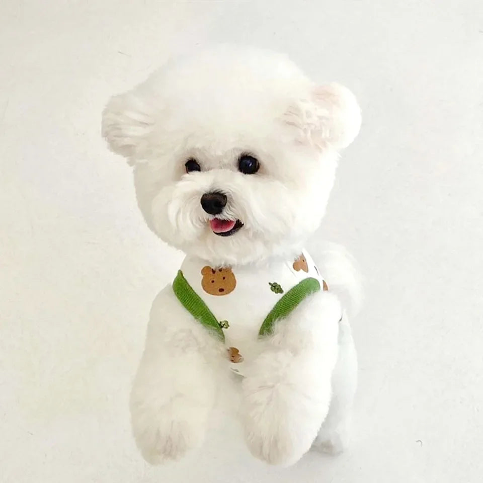 A fluffy white dog wearing a lightweight summer vest with a cute bear print.