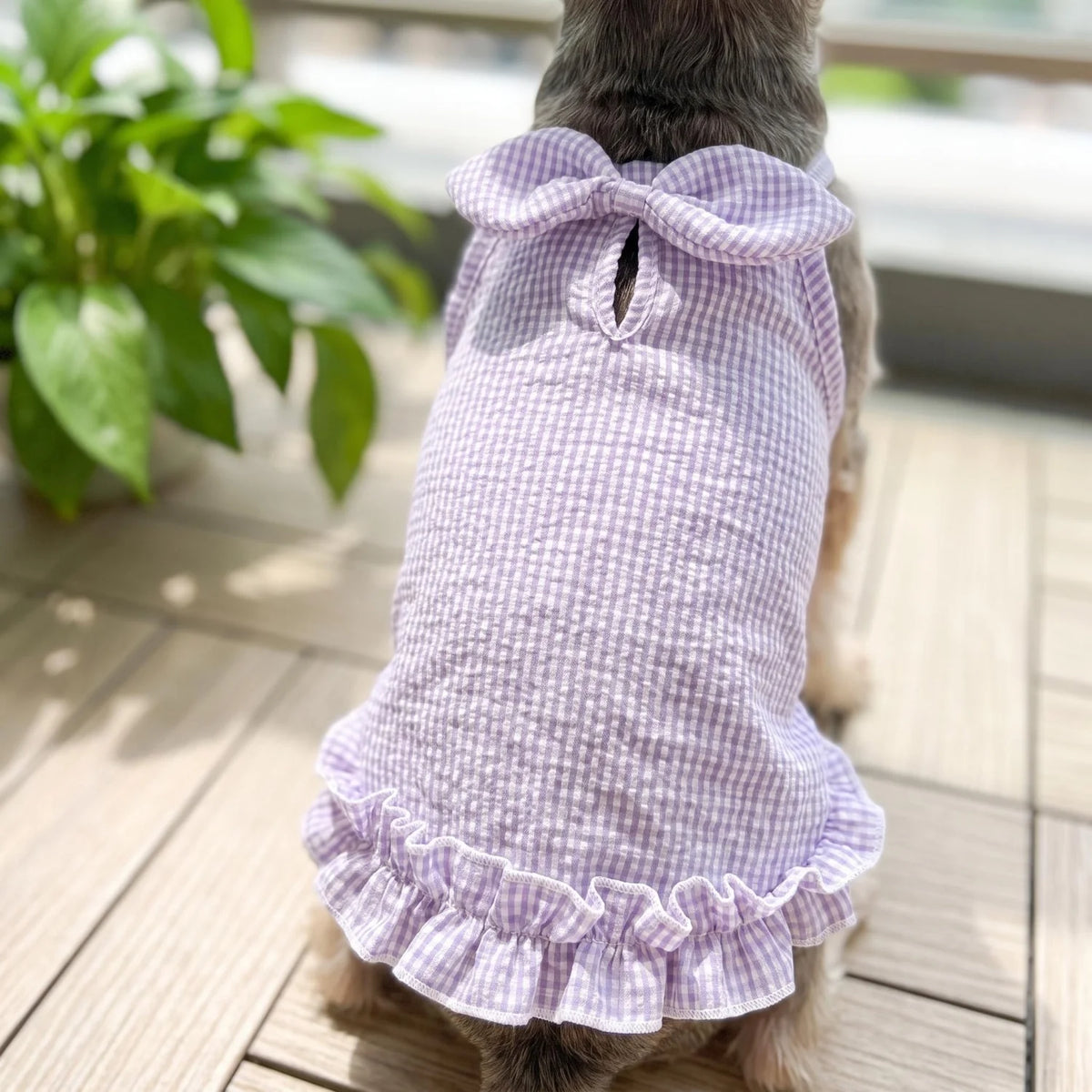 A lavender checkered ruffled tank top for a small dog is shown outdoors.