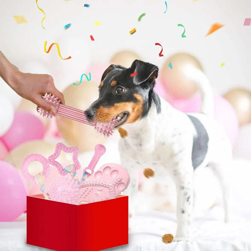 A dog is interacting with a pink rubber chew toy in a red box surrounded by pink balloons.