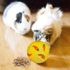 Balle Puzzle Interactif à Débit Lent pour Petits Animaux