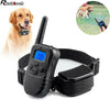 Rechargeable Waterproof Dog Training Collar with Remote