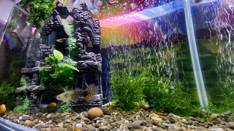 Barre de pierre poreuse pour aquarium