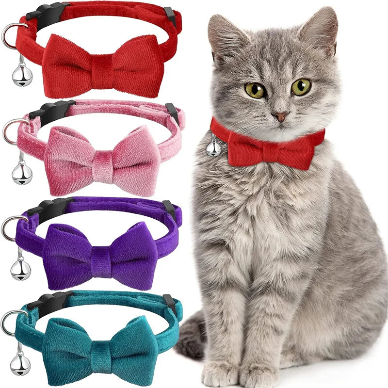 A gray cat wearing a plush velvet pet collar with a bow in red, pink, purple, and teal colors.
