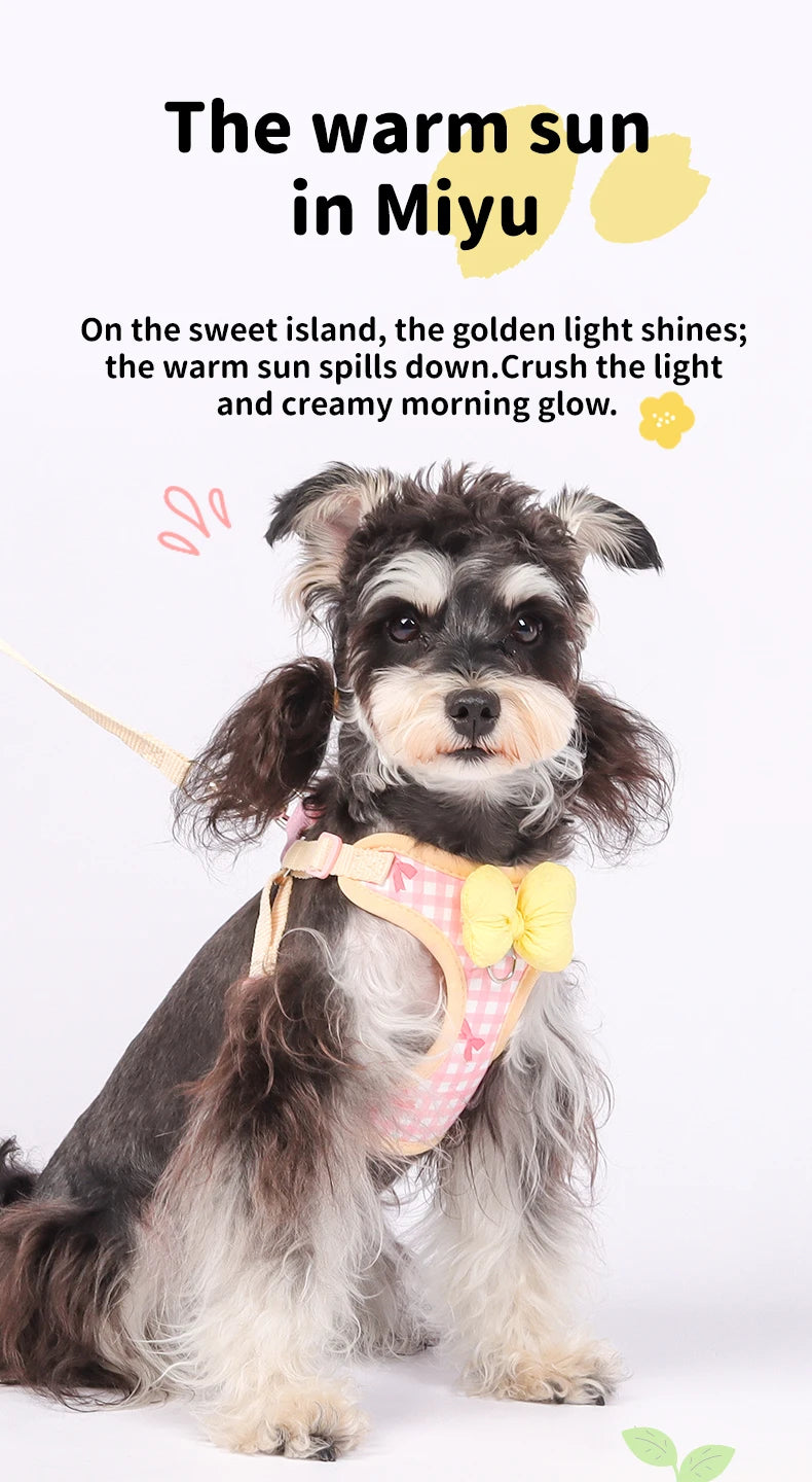 A small, fluffy dog wearing a yellow plaid harness with a bow, standing against a white background.