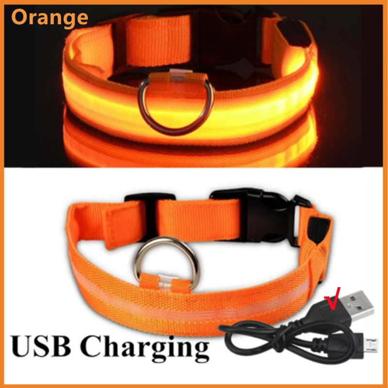 Orange USB rechargeable pet safety light collar glowing brightly