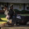 Tactical Dog Harness with MOLLE Pouches and Collar Set