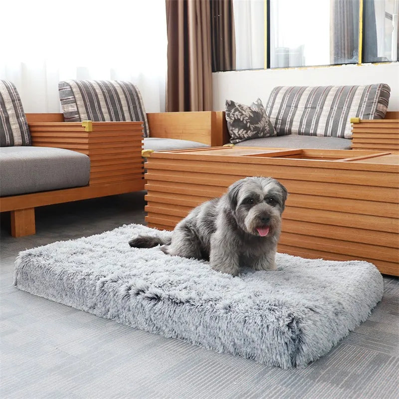 Orthopedic Dog Bed with Removable Cover for Small to Large Pets