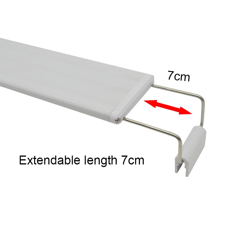 Lampe LED à clipser pour aquarium : poissons et plantes