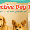 Interactive Crab Plush Toy with Motion-Activated Ball for Dogs