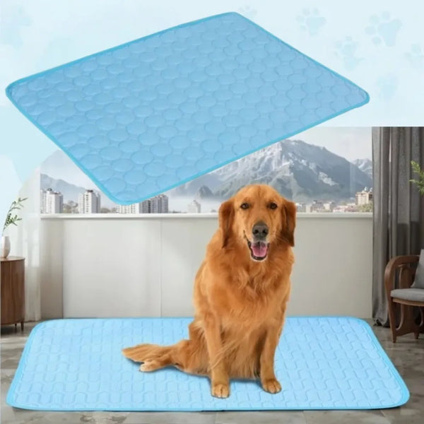 Un golden retriever tumbado en una estera de enfriamiento azul para mascotas con otra estera azul más grande cerca.