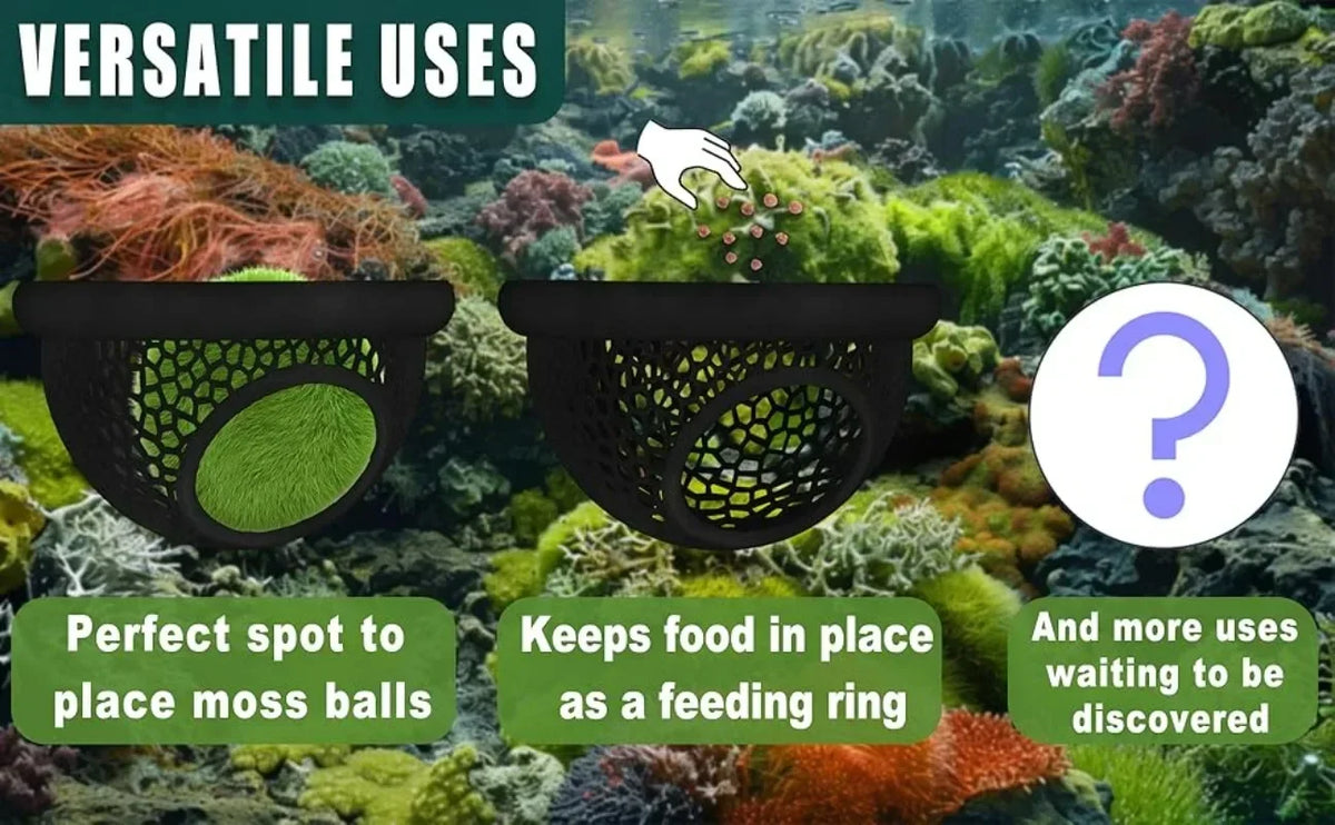 3-in-1 Floating Cave, Hammock, and Feeding Ring for Betta Fish and Shrimp
