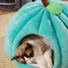 3D Pumpkin Pet House - Semi-Enclosed Bed with Removable Cushion