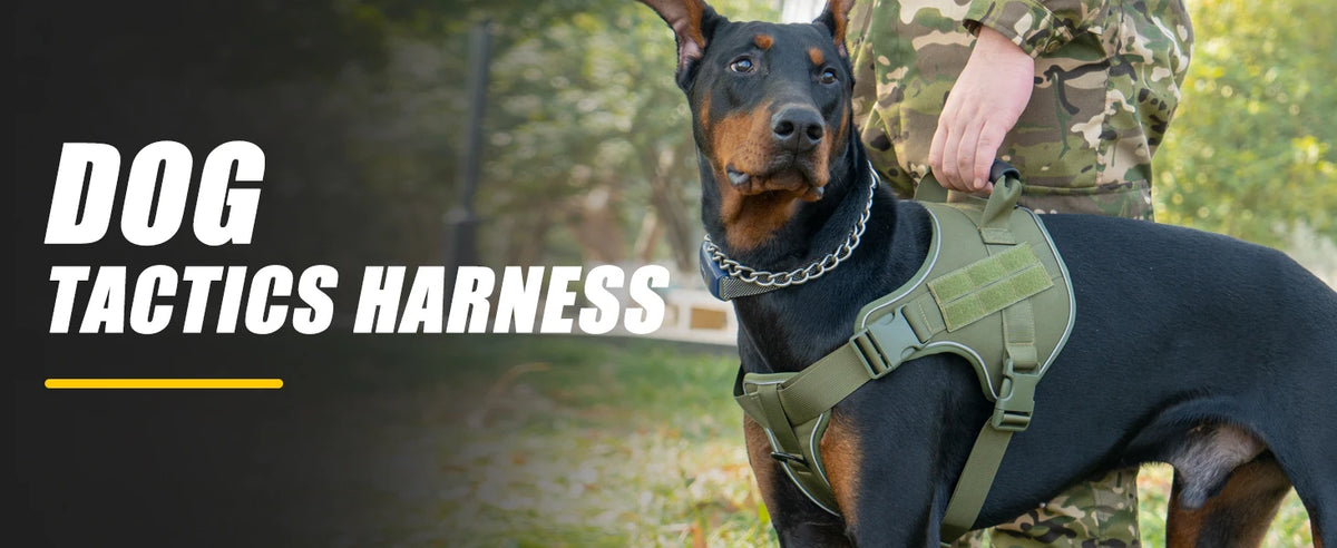 Tactical Dog Harness with Reflective Strips for Training and Outdoor Adventures