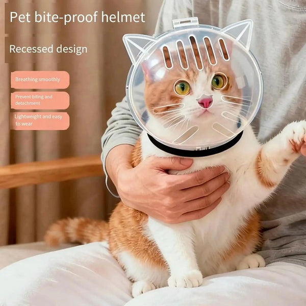 A fluffy orange and white cat is wearing a clear pet bite-proof helmet designed for grooming.