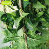 Artificial green vine wall hanging decor featuring lush green leaves and brown vines.