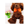 Pet Bow Tie Collar with Adjustable Strap