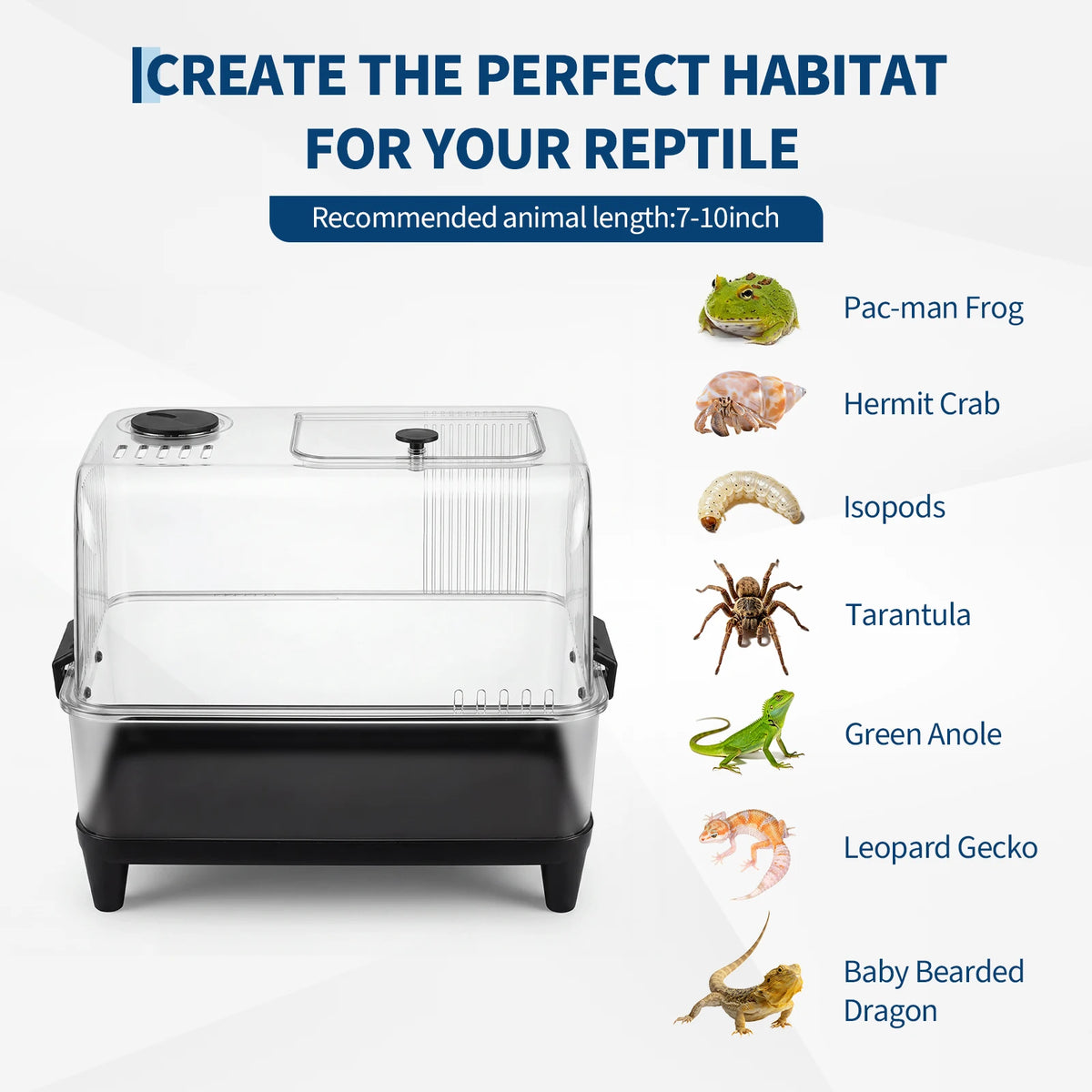 A clear plastic reptile habitat with a black base and lid, designed for various reptiles.