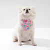A fluffy white dog wearing a pink floral print triangle collar bandana.