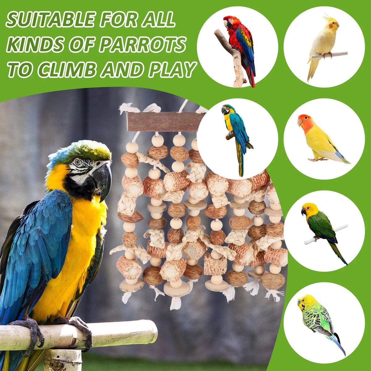 A natural wood parrot chewing and climbing toy shown with various parrots.