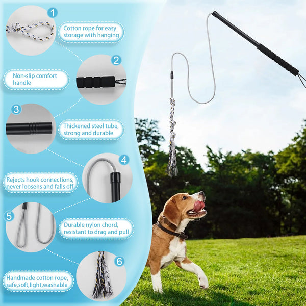 Diagram showing features of a durable interactive dog flirt pole including cotton rope, non-slip handle, steel tube, hook con