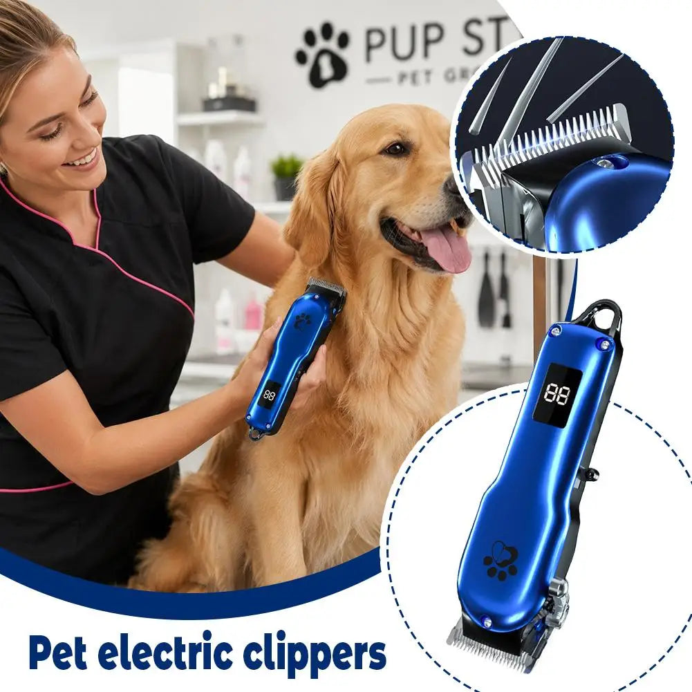 A woman is using a blue pet electric clipper on a golden retriever dog for grooming.
