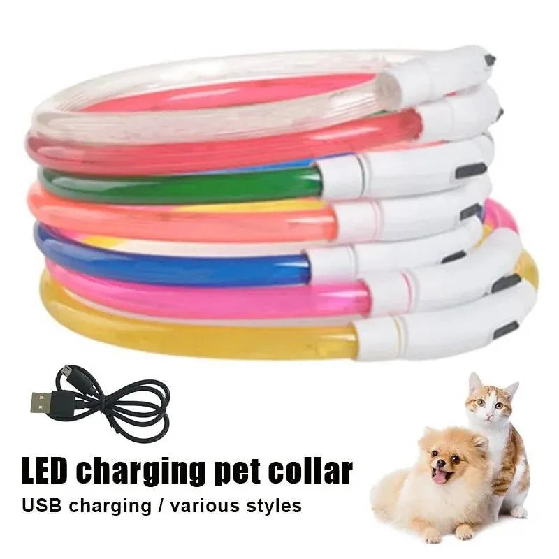 Rechargeable LED Dog Collar with USB Charging
