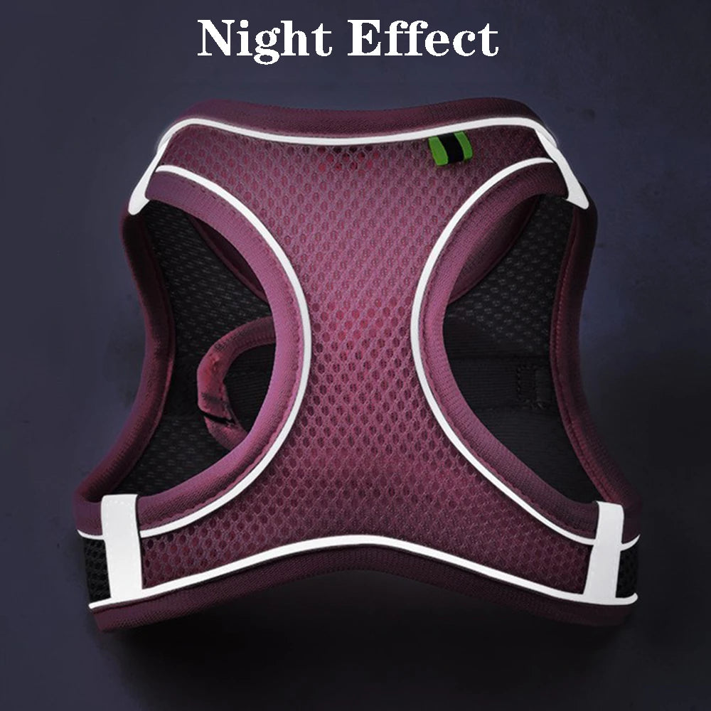 A purple reflective pet harness is shown against a dark background with the text Night Effect.