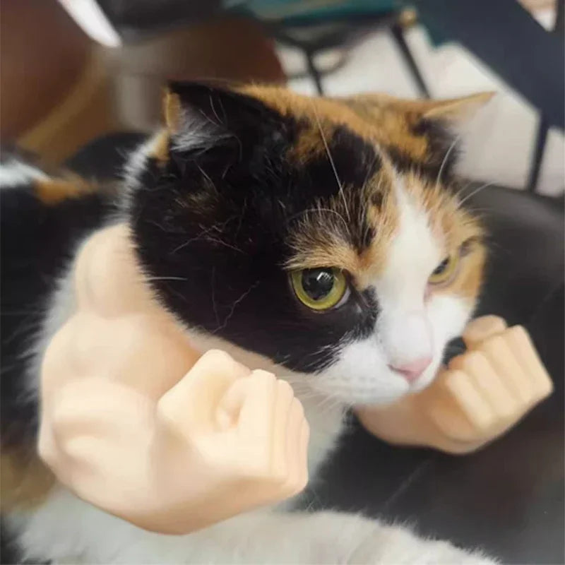 A cat with orange and black markings is being held by a hand wearing a 3D printed cat muscle arm accessory.