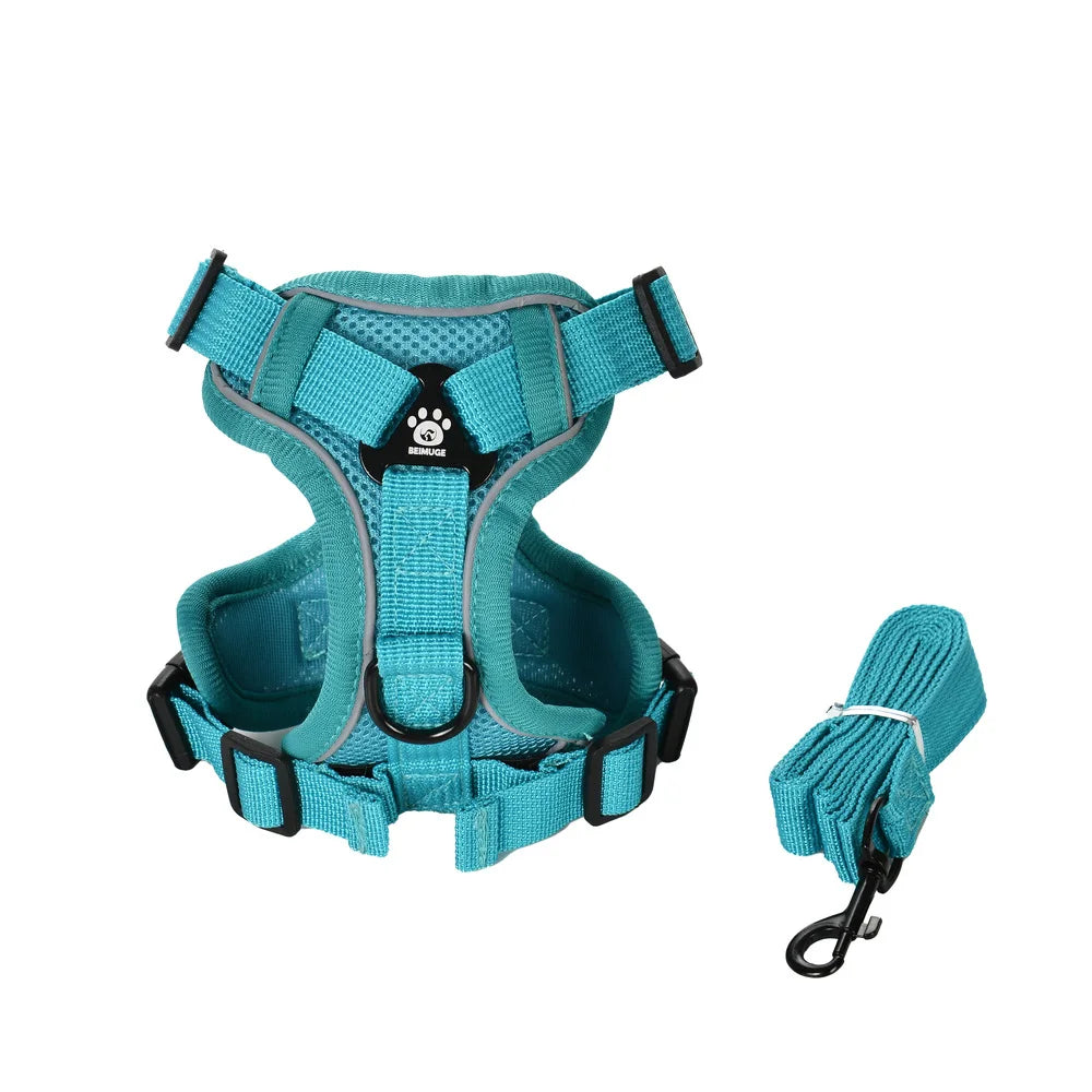 A teal adjustable no-pull dog harness and leash set with reflective strips.