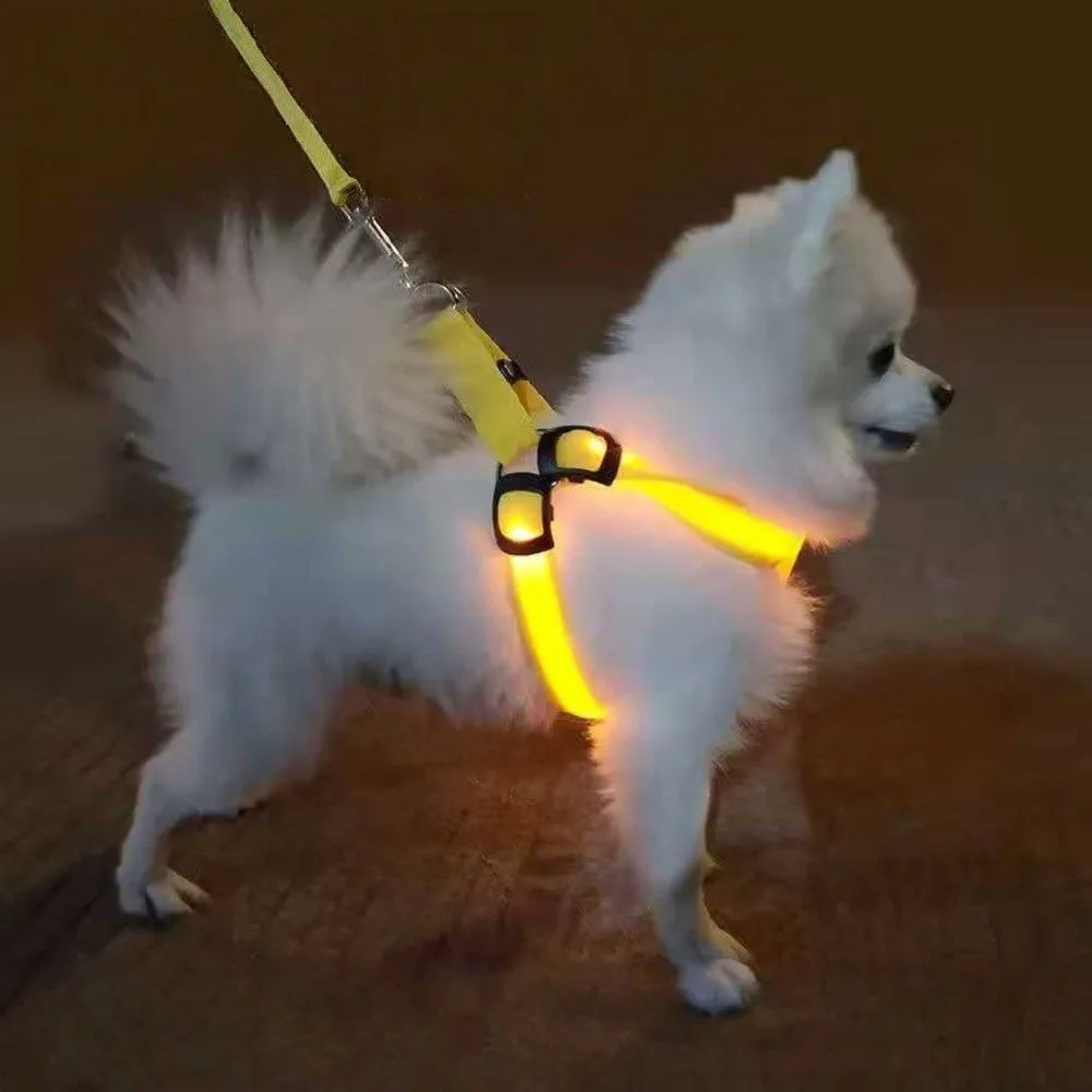 A white dog wearing a yellow LED harness with a mesh strap, standing on a wooden floor.