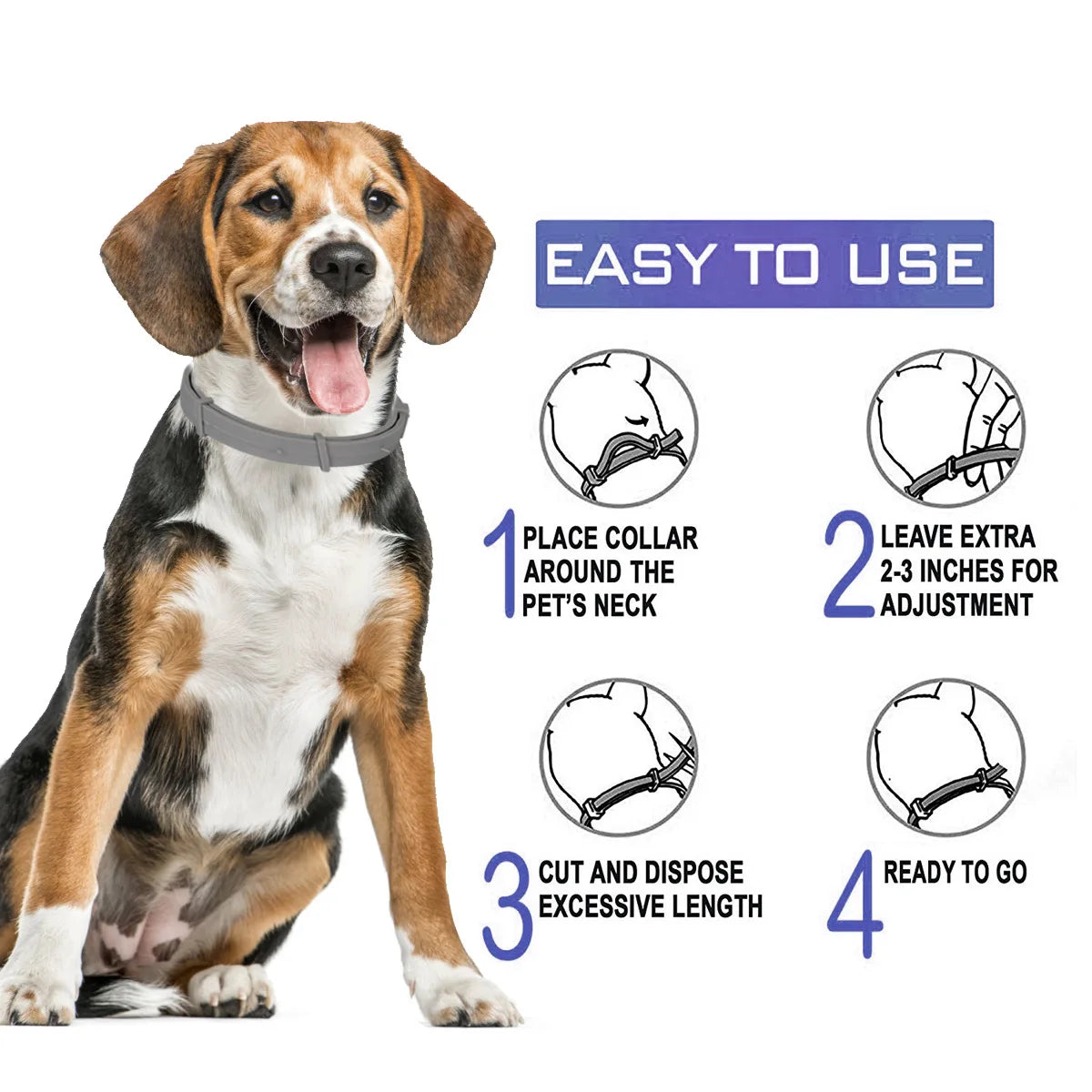 A brown and white dog wearing an adjustable pet collar, demonstrating how to use the product.