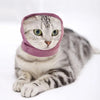 A tabby cat wearing a pink ear muff hat for noise shielding.