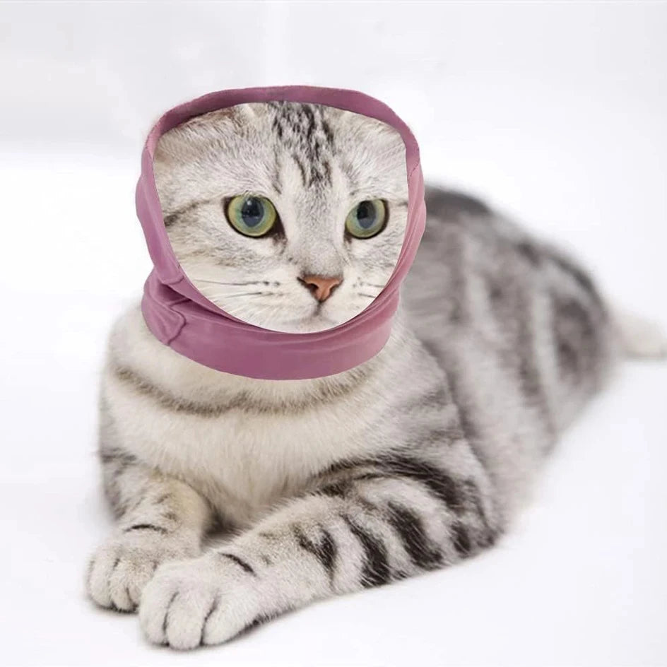 A tabby cat wearing a pink ear muff hat for noise shielding.